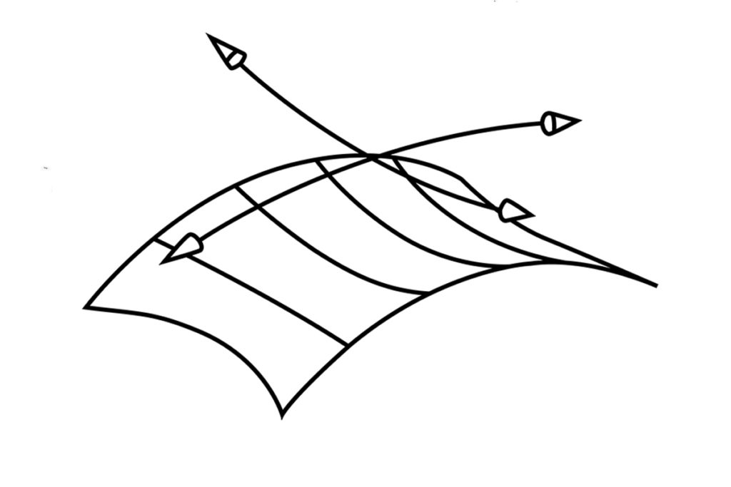 Kiến trúc bạt căng - Các hình thức phổ biến của Tensile Membrane Structures