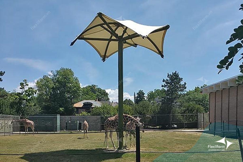 Mẫu mái che chống nóng cho sở thú - Giraffes at the Buffalo Zoo-Fabritec