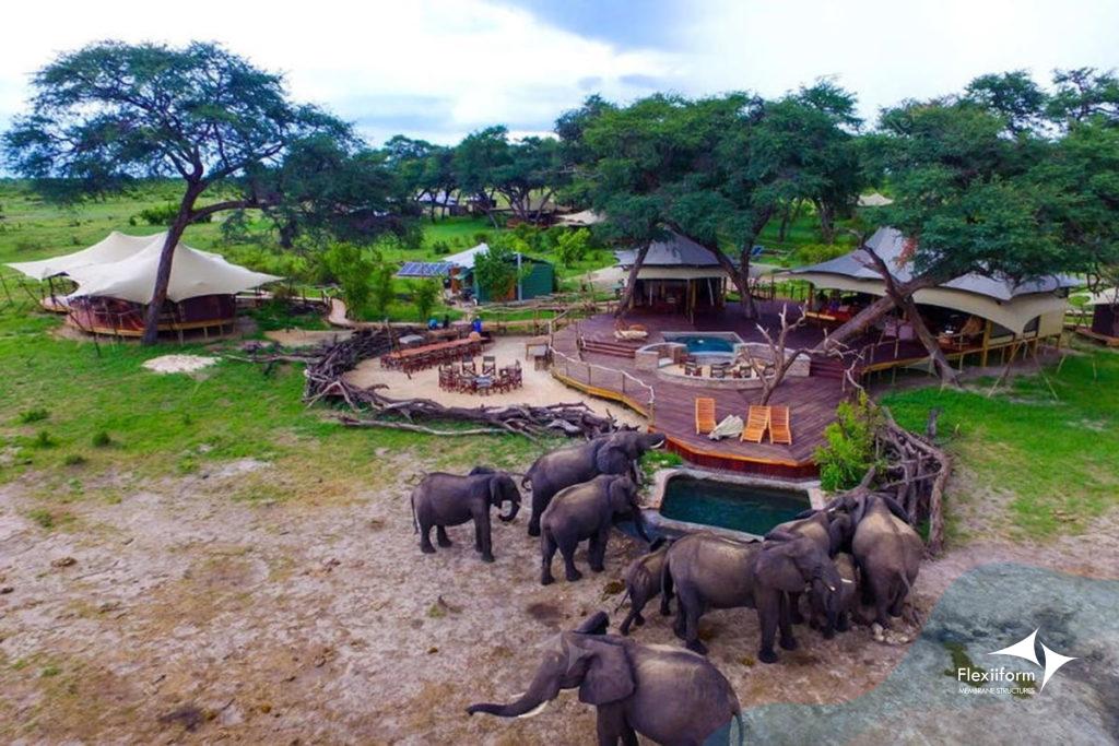 Mẫu mái che sở thú - đàn voi tụ tập quanh khu vực lều bạt căng - Source: tenthouse