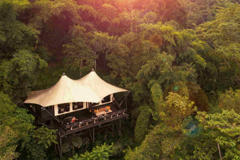 Lều glamping sang trọng giữa rừng nhìn từ trên cao
