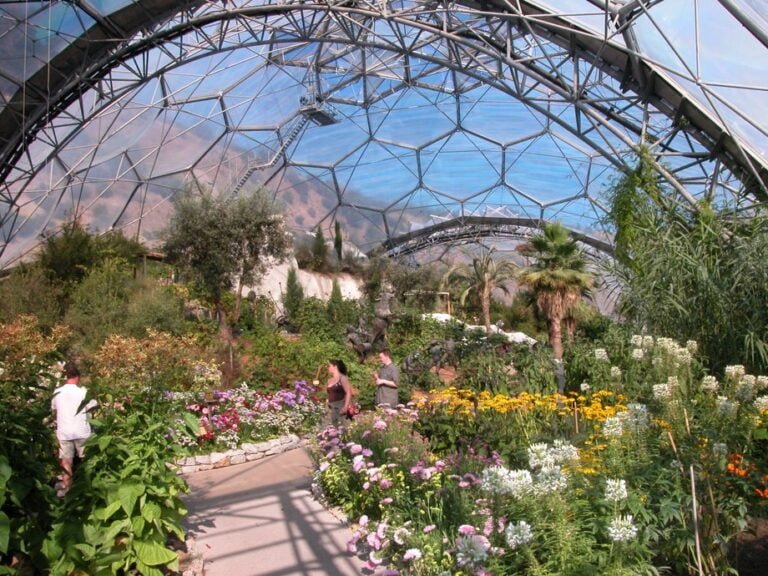 Top 3 Geodesic Dome-PTFE-Eden garden