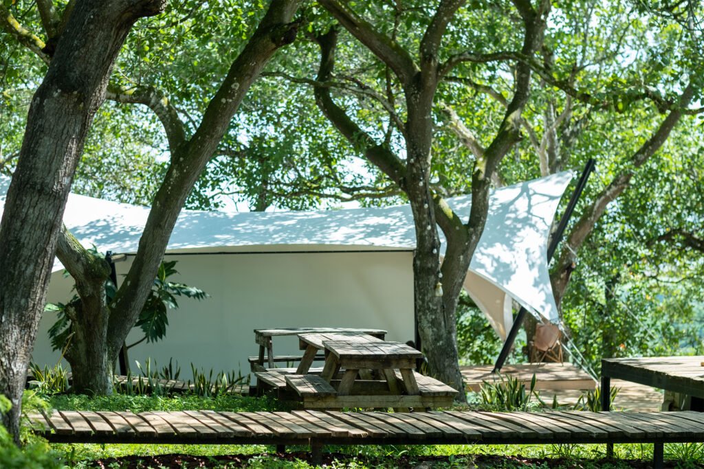 Lều Garden View Tent mái bạt trắng dưới tán cây, bàn gỗ dã ngoại và lối đi ván gỗ