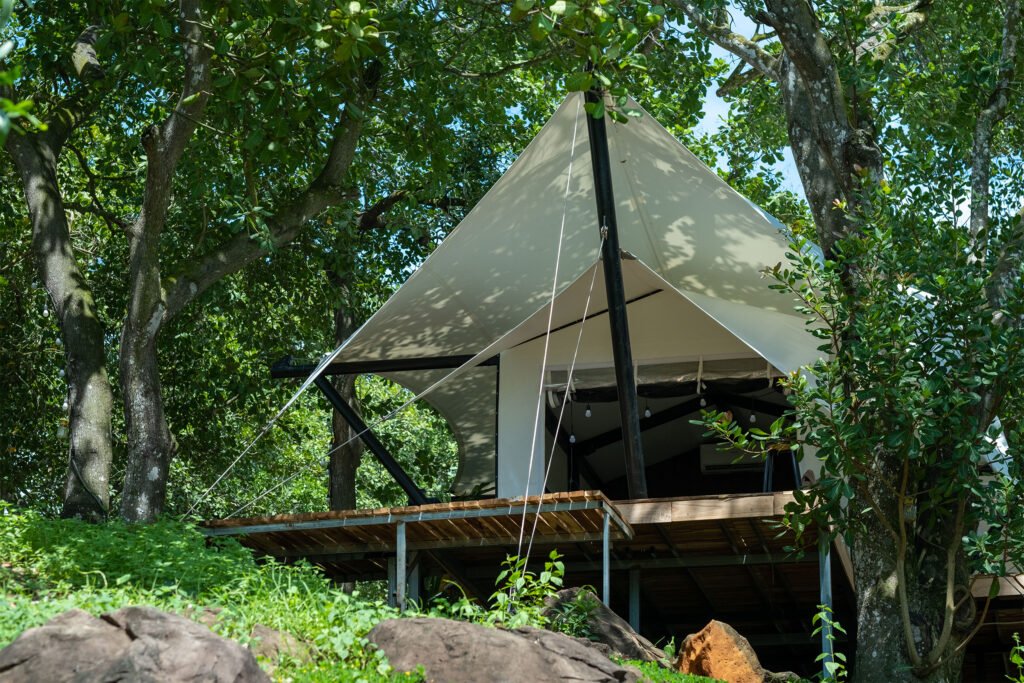 Lều glamping cao cấp cho resort sinh thái Garden View Tent, mái màng căng trắng chóp nhọn trên sàn gỗ nâng giữa rừng, Đồng Nai