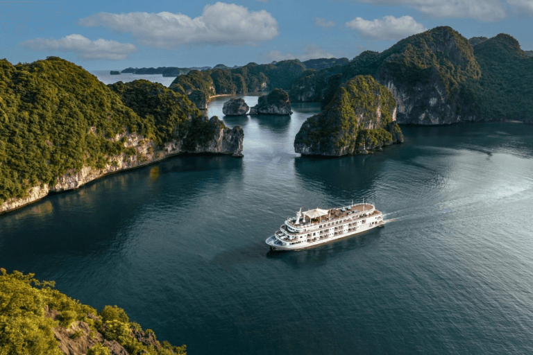 Flexiiform_Thị trường du thuyền 2026