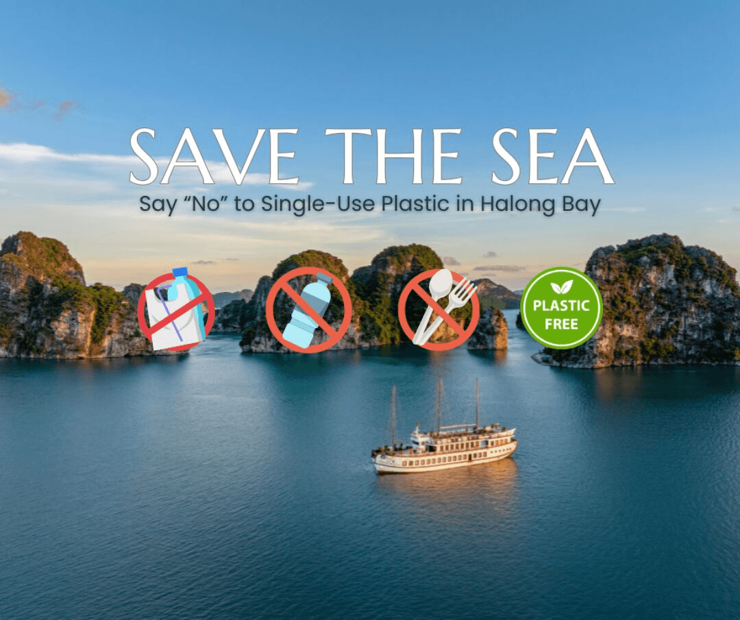 Flexiiform_Thị trường du thuyền 2026-3