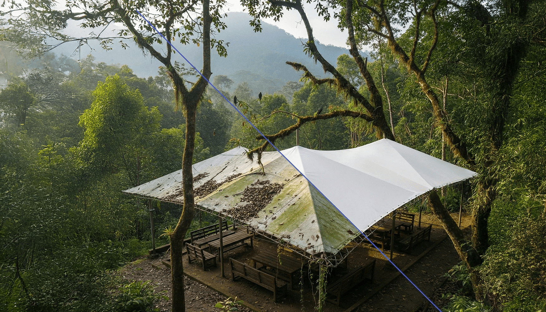 Flexiiform_Dịch vụ vệ sinh bảo trì mái che màng căng 2