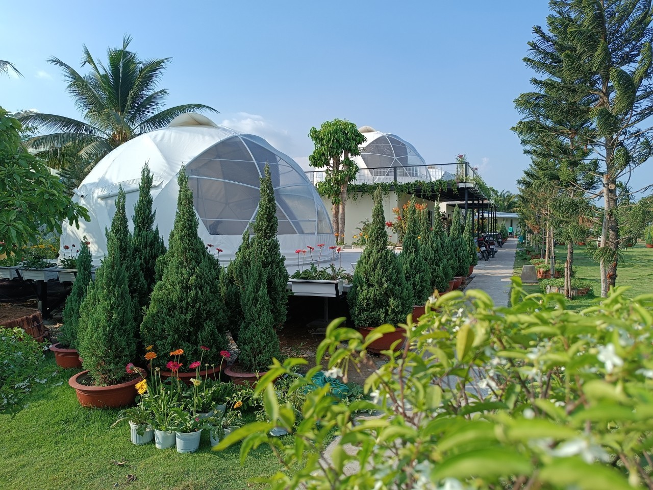 Dome 6 m nửa trong suốt trên sàn nâng giữa vườn cây, khu nghỉ dưỡng glamping Sa Đéc